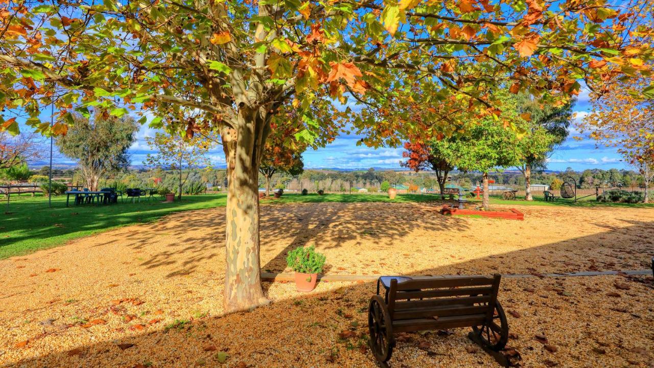 The Vineyard Motel Каура Екстериор снимка