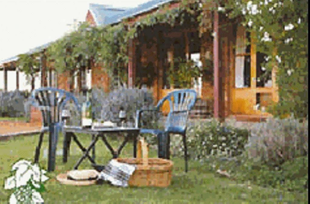 The Vineyard Motel Каура Екстериор снимка